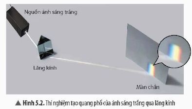 KHTN 9 trang 22 Chân trời sáng tạo: Thảo luận 1