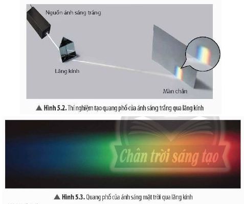 KHTN 9 trang 23 Chân trời sáng tạo: Thảo luận 2