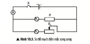 KHTN 9 trang 48 Chân trời sáng tạo: Thảo luận 2