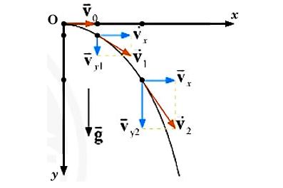 Giải Thảo luận 2 trang 51 Vật Lí 10 Chân trời sáng tạo