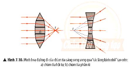 KHTN 9 trang 31 Chân trời sáng tạo: Thảo luận 3