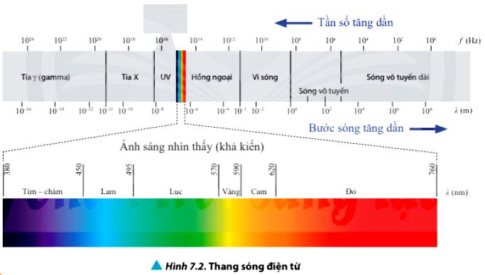 Vật Lí 11 trang 47 Chân trời sáng tạo: Thảo luận 3