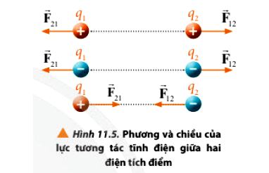 Vật Lí 11 trang 71 Chân trời sáng tạo: Thảo luận 3