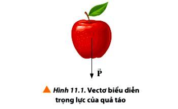 Trọng lực của quả táo