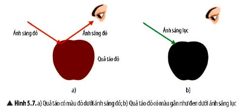 Vận dụng trang 25 KHTN 9 Chân trời sáng tạo