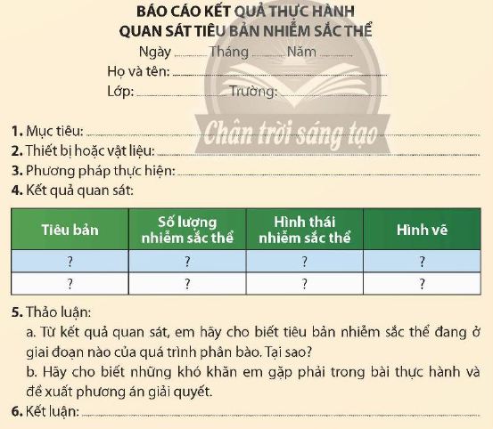 Báo cáo kết quả thực hành