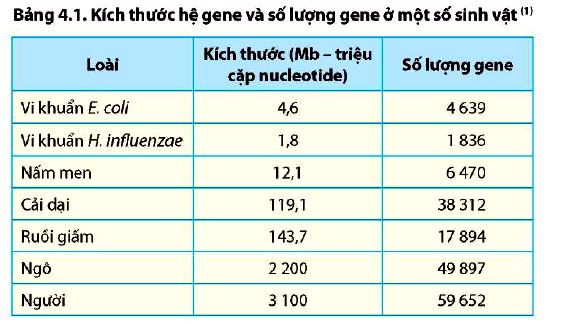 Sinh 12 trang 22 Chân trời sáng tạo: Câu hỏi 1