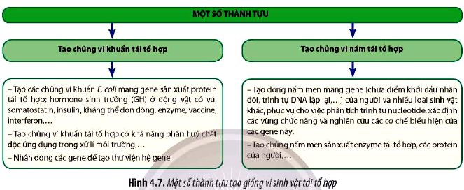 Sinh 12 trang 29 Chân trời sáng tạo: Câu hỏi 10