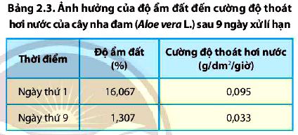 Sinh 11 trang 19 Chân trời sáng tạo: Câu hỏi 11