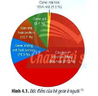 Sinh 12 trang 23 Chân trời sáng tạo: Câu hỏi 2