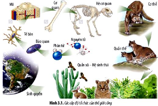 Câu hỏi 2 trang 16 Sinh 10 Chân trời sáng tạo