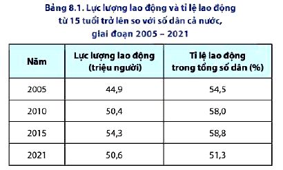 Đặc điểm lao động và tỉ lệ lao động