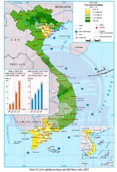 Hình 13 Lâm nghiệp và Thủy sản Việt Nam