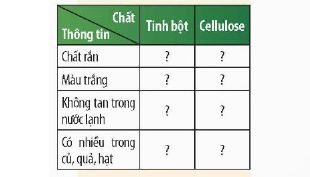 KHTN 9 trang 123 Chân trời sáng tạo: Luyện tập