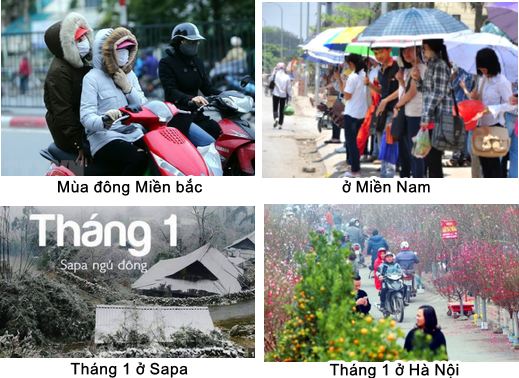 Sự phân hóa đa dạng của thiên nhiên nước ta