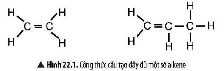 KHTN 9 trang 97 Chân trời sáng tạo: Thảo luận 1