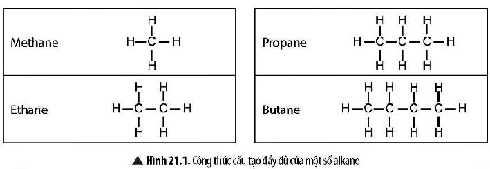 KHTN 9 trang 94 Chân trời sáng tạo: Thảo luận 2