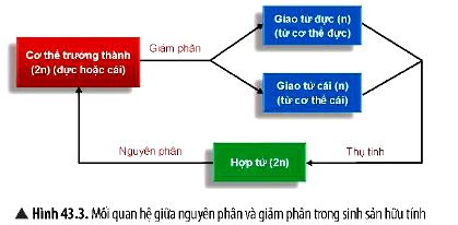 KHTN 9 trang 180 Chân trời sáng tạo: Thảo luận 4