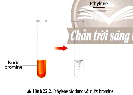 KHTN 9 trang 97 Chân trời sáng tạo: Thảo luận 4