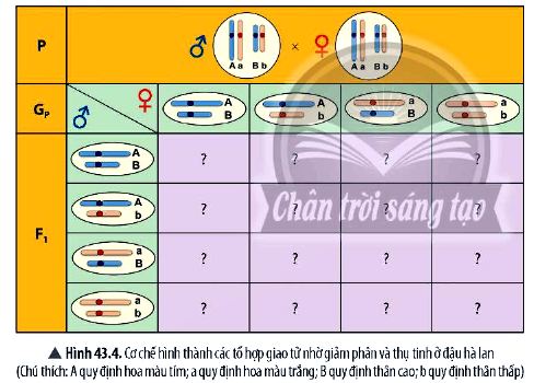 KHTN 9 trang 180 Chân trời sáng tạo: Thảo luận 5