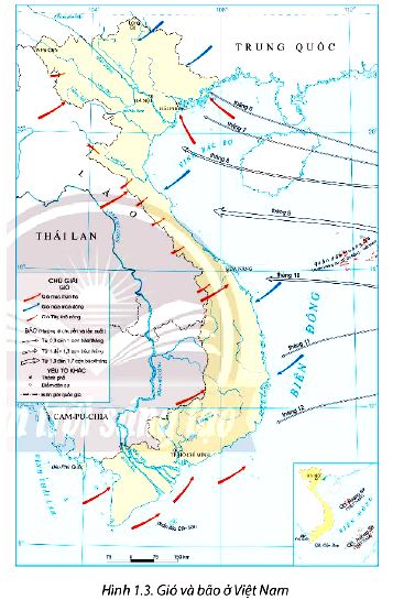Gió và Bão ở Việt Nam