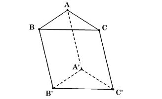 Bài 5 trang 51 Toán 12 tập 1 Chân trời sáng tạo