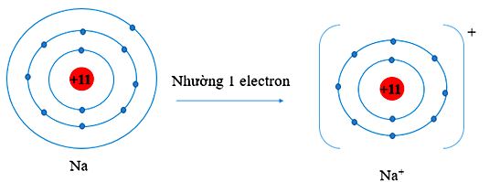 Giải câu a bài 3 trang 56 Hóa 10 Cánh diều