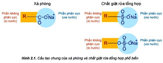 cấu tạo giữa xà phòng và chất giặt rửa tổng hợp