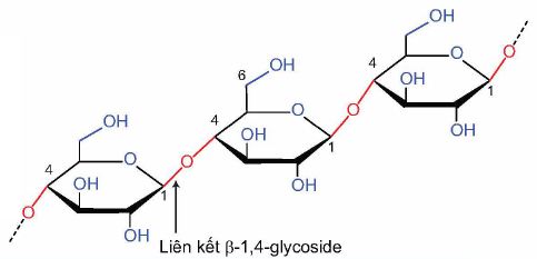 cellulose