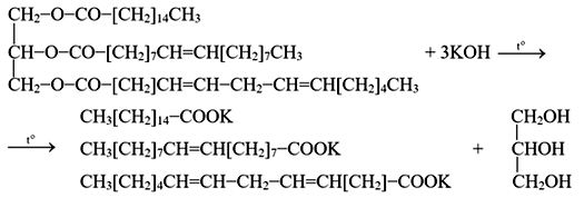 Phản ứng giữa chất béo trên với dung dịch potassium hydroxide