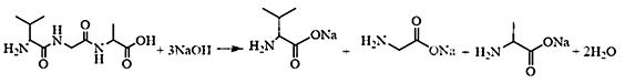 Thuỷ phân hoàn toàn Val – Gly – Ala trong môi trường kiềm