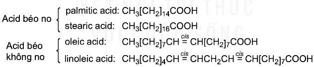 Acid béo no và acid béo không no