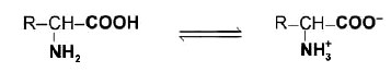 Amino acid tồn tại chủ yếu ở dạng ion lưỡng cực