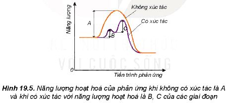 Ảnh hưởng của chất xúc tác tới tốc độ phản ứng