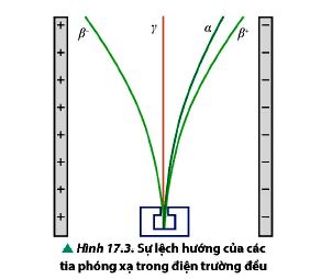 Bản chất tia phóng xạ