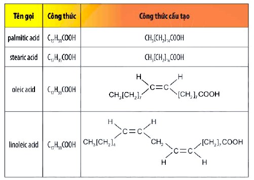 Bảng Một số acid béo thường gặp