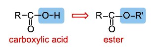Cấu tạo của Ester