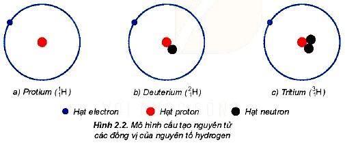 Cấu tạo nguyên tử các đồng vị của Hydrogen