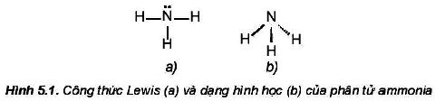 Cấu tạo phân tử ammonia