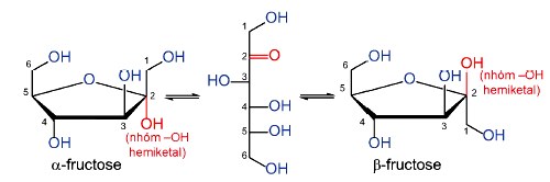 Cấu tạo phân tử của Fructose