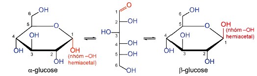 Cấu tạo phân tử của Glucose