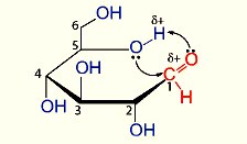 Cấu tạo vòng của các monosaccharide