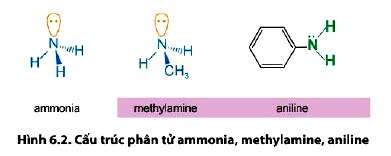 Cấu trúc phân tử của ammonia, methylamine và aniline