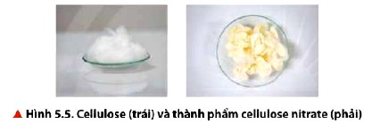 Cellulose và Cellulose trinitrate