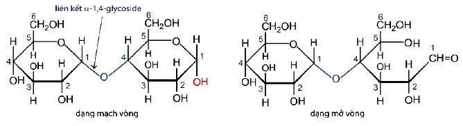 Công thức cấu tạo của Maltose