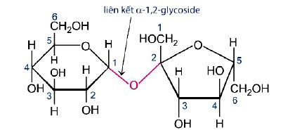 Công thức cấu tạo của saccharose