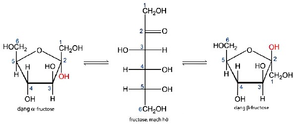 Công thức cấu tạo của Fructose