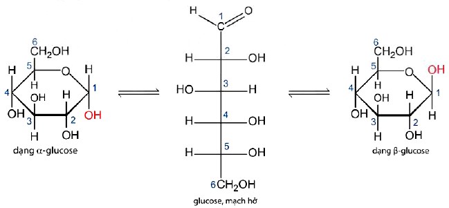 Công thức cấu tạo của Glucose