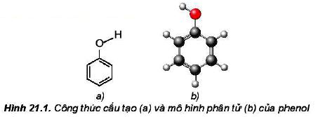 Công thức cấu tạo mô hình phân tử phenol