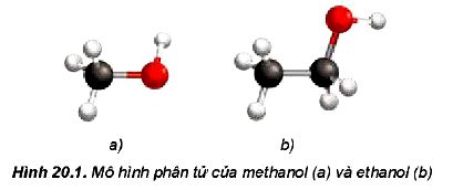 Đặc điểm cấu tạo alcohol